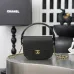 Chanel Croc Leather Mini Handle Hobo Bag 6424 #A67250