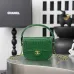 Chanel Croc Leather Mini Handle Hobo Bag 6424 #A67250
