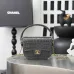Chanel Croc Leather Mini Handle Hobo Bag 6424 #A67250