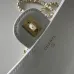 Chanel Lambskin Chain Clutch AP5380 25×9.5×5cm #A67221