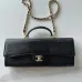 Chanel Lizard Chain Clutch AP5370 25×9.5×5cm #A67238