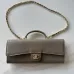 Chanel Lizard Chain Clutch AP5370 25×9.5×5cm #A67238