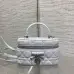 Dior Cannage Vanity Makeup Bag with Handle 5836 #A66131