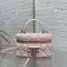 Dior Cannage Vanity Makeup Bag with Handle 5836 #A66131