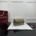 Gucci Dionysus GG Canvas Chain Crossbody 876531 #A66134