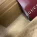 Gucci Dionysus GG Canvas Chain Crossbody 876531 #A66134