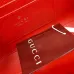 Gucci Dionysus Leather Chain Crossbody Bag 876531 #A66132