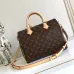 Louis Vuitton Speedy Icons Women Bag #A49388