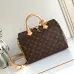 Louis Vuitton Speedy Icons Women Bag #A49388