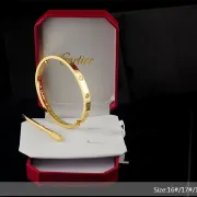 Cartier Bracelets #9111422 Cartier Bracelets #9111422
