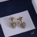 Dior earrings #A66957