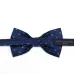 Louis Vuitton Necktie and original box #A66462