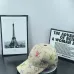 Louis Vuitton AAA+ hats &amp; caps #A64708