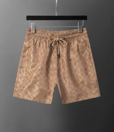 Louis Vuitton Pants for Louis Vuitton Short Pants for men #A61072