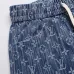 Louis Vuitton Pants for Louis Vuitton Short Pants for men #A66115