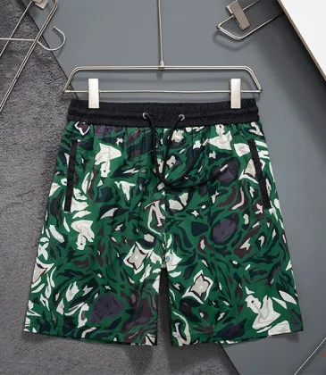 Louis Vuitton Pants for Louis Vuitton Short Pants for men swim trunks #A63498