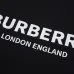 Burberry T-Shirts for Burberry  AAAA T-Shirts #A66781