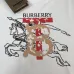 Burberry T-Shirts for Burberry  AAAA T-Shirts #A66785