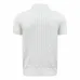 Ralph Lauren Polo Shirts for Men RL Polos #A61833