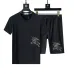 Burberry Tracksuits for Burberry Short Tracksuits for men #A51942
