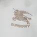 Burberry Tracksuits for Men's long tracksuits #A67096