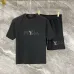 Louis Vuitton tracksuits for Louis Vuitton short tracksuits for men #A67006